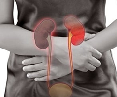 慢性腎臓病外来